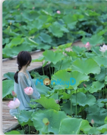 nay đã không còn như xưa