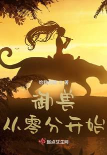 ngự thú từ không điểm